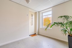 FREYJAPLANTSOEN 3-5.jpg